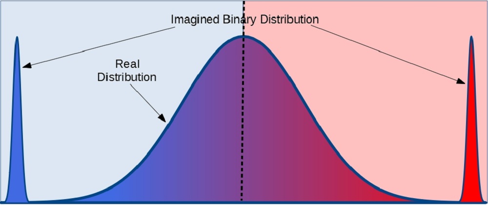 Binary Thinking – CGMblog.com